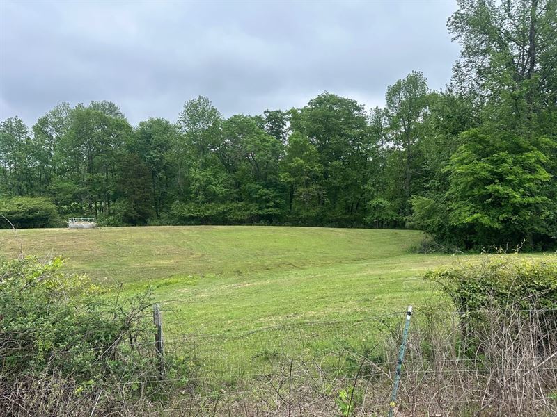 20 Acres Unrestricted Property : Woodville : Jackson County : Tennessee