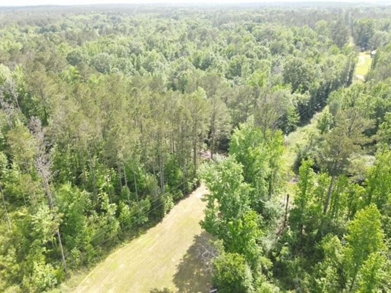 Nice Camp with 17.7 Acres : Georgetown : Copiah County : Mississippi