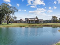 Turnkey Cattle Ranch : Ivanhoe : Fannin County : Texas