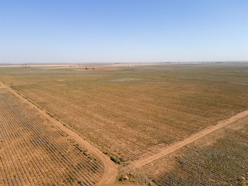 10 & 16 Acre Tracts, Ropesville TX : Ropesville : Hockley County : Texas