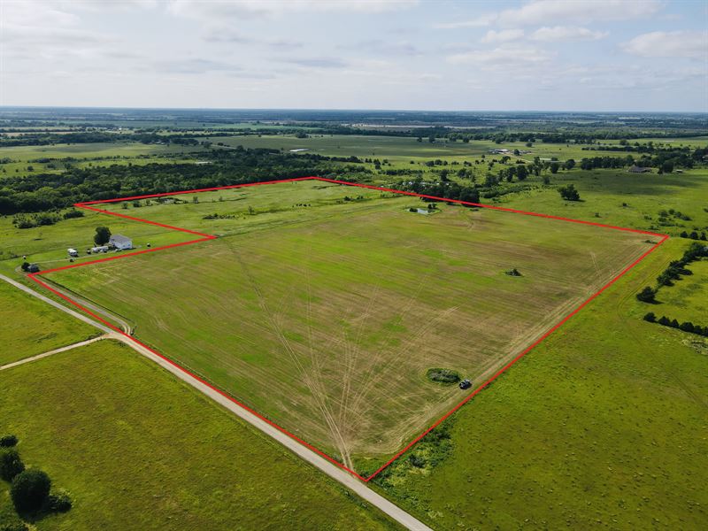Fertile Hay Meadow : Ivanhoe : Fannin County : Texas