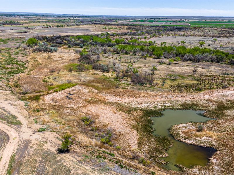 Purgatory 250 : Las Animas : Bent County : Colorado