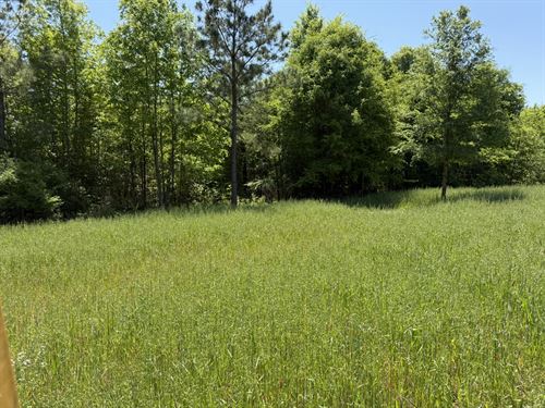Banks 47 Acres : Banks : Pike County : Alabama