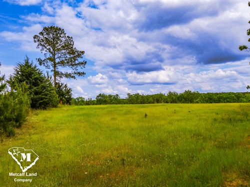 345 Acre Recreational Tract : Enoree : Union County : South Carolina