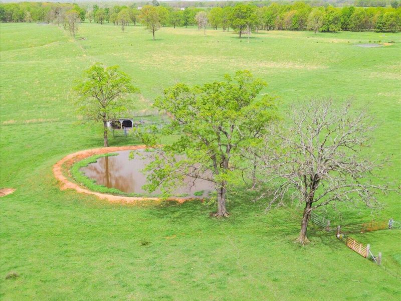 Farmland in Texas County : Summersville : Texas County : Missouri