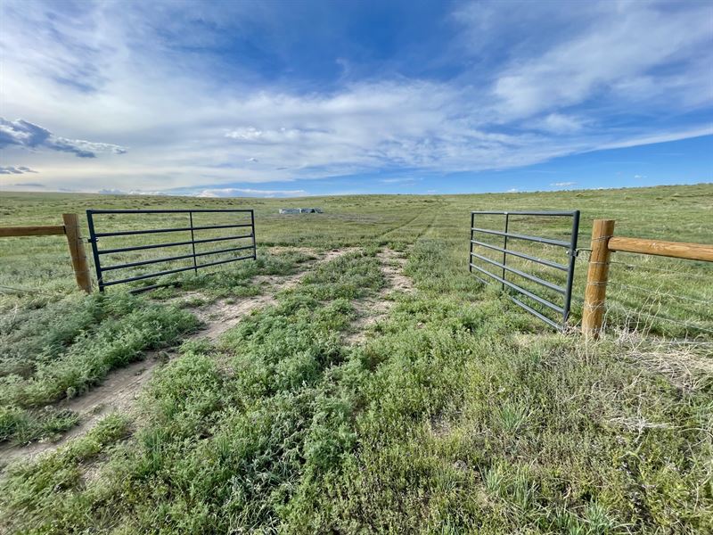 Kiowa 39'S : Kiowa : Elbert County : Colorado