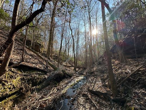 Fairview 100 : Hackleburg : Marion County : Alabama