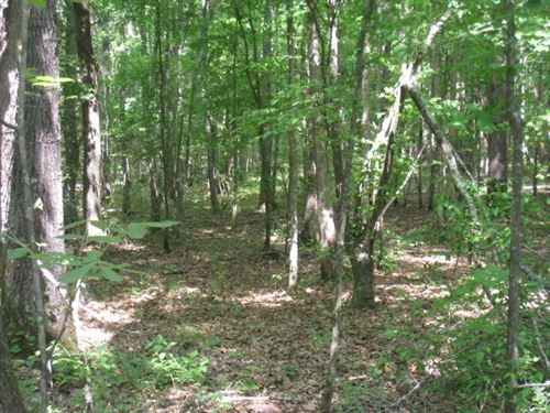 80 Acres in Texarkana, Arkansas : Texarkana : Miller County : Arkansas