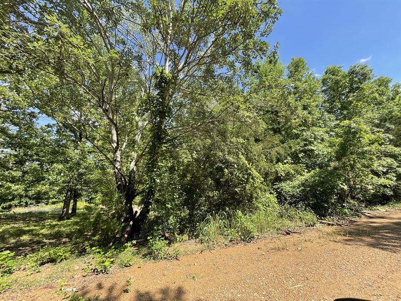 47.88 Acres in Bradford, AR, Ofa : Bradford : Independence County : Arkansas