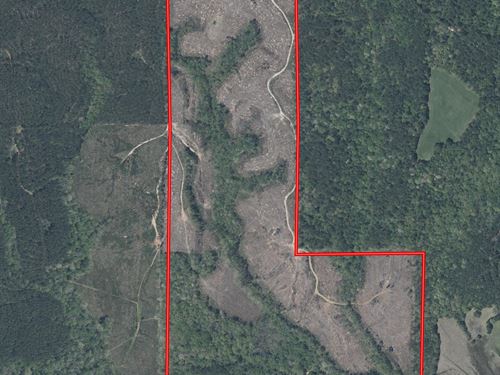 Blackwater North 186, Kemper Co. MS : Porterville : Kemper County : Mississippi