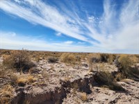 Build, Farm, or Invest : Joseph City : Navajo County : Arizona