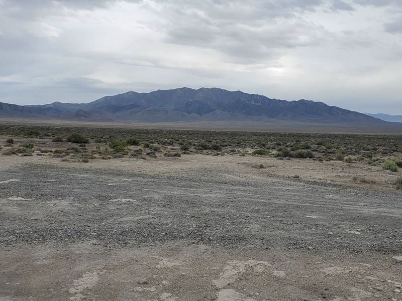 Blm and Hot Springs, Buy Nature : Imlay : Pershing County : Nevada