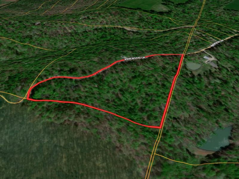 Land for Sale, 21.89 Ac-Wooded : Springville : Greene County : Indiana