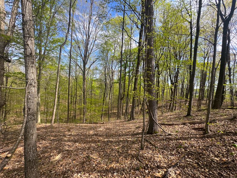 Tract 13, Albany Woods : Albany : Meigs County : Ohio