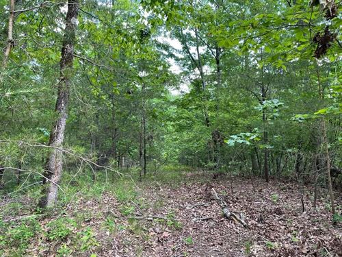 48.35 Acres on Anthony Road : Pickens : South Carolina
