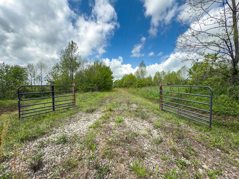 Siverly Ridge, 12 Acres, Vinton : McArthur : Vinton County : Ohio