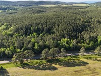 Rock Run Ridge : Piedmont : Cherokee County : Alabama