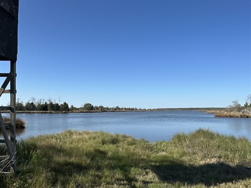 200 Ac Hunting & Waterfront Tract : Scranton : Hyde County : North Carolina