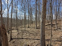 Big Timber Ridge, Phase II Tract 5 : Vinton : Meigs County : Ohio