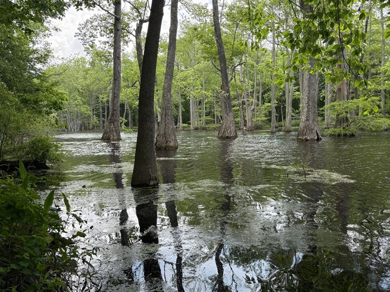 Leflore County 306 Macduff Place : Minter City : Leflore County : Mississippi