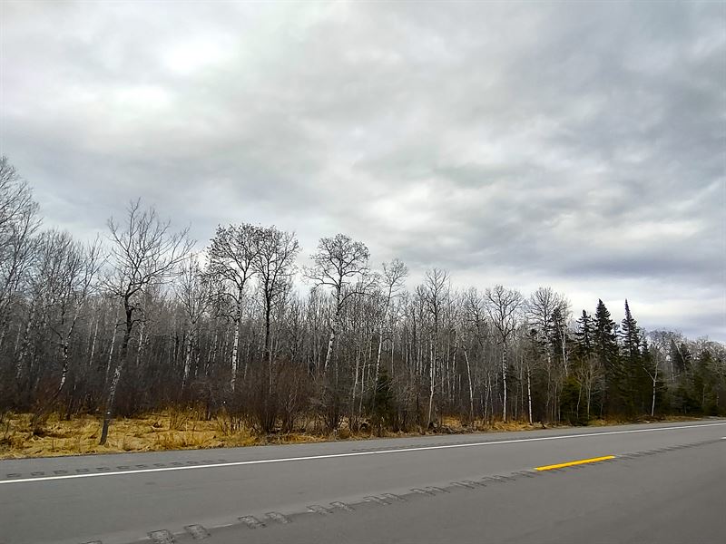 Wooded 240 Acres Michigan U.P. 5017 : Marenisco : Gogebic County : Michigan