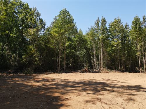 Large Home Site and Hunting Tract : Louisburg : Franklin County : North Carolina