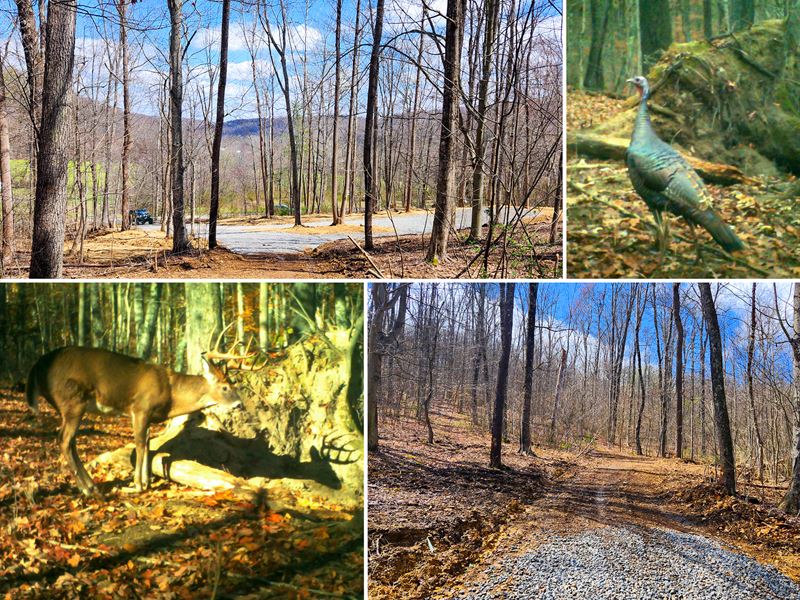 Tract 1, Pike Lake Getaway : Bainbridge : Pike County : Ohio