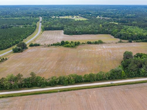 52.95 Acres in Lacrosse : Lacrosse : Alachua County : Florida