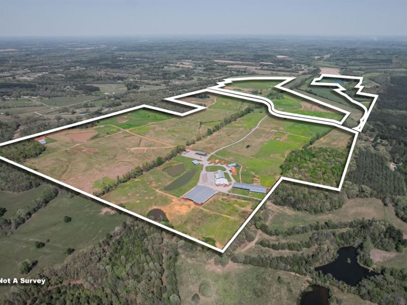 Tennessee Ranch & Event Center : Mitchie : McNairy County : Tennessee