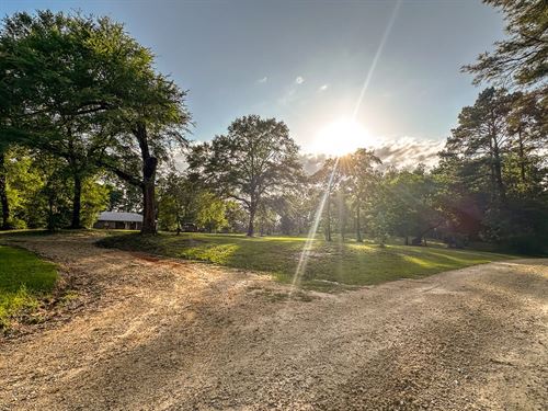 49 Acres, Easement Access/I-45 Fee : Huntsville : Walker County : Texas