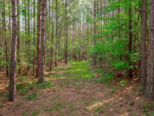 Mitchell Tract : Saluda : South Carolina