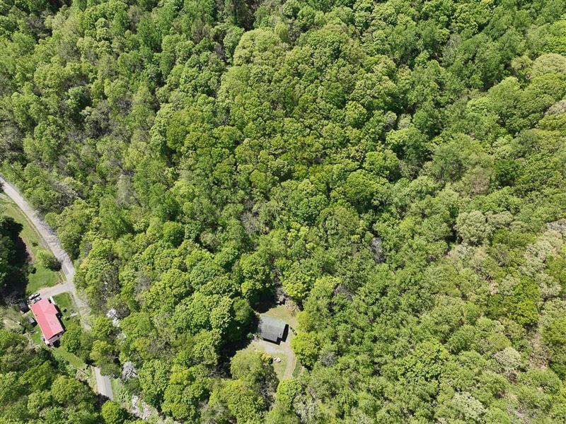 40 Acres with a Cabin for Sale : Covington : Covington County : Virginia