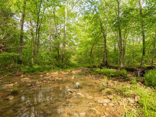Stunning 80 Acres For Sale in Bo : Zalma : Bollinger County : Missouri