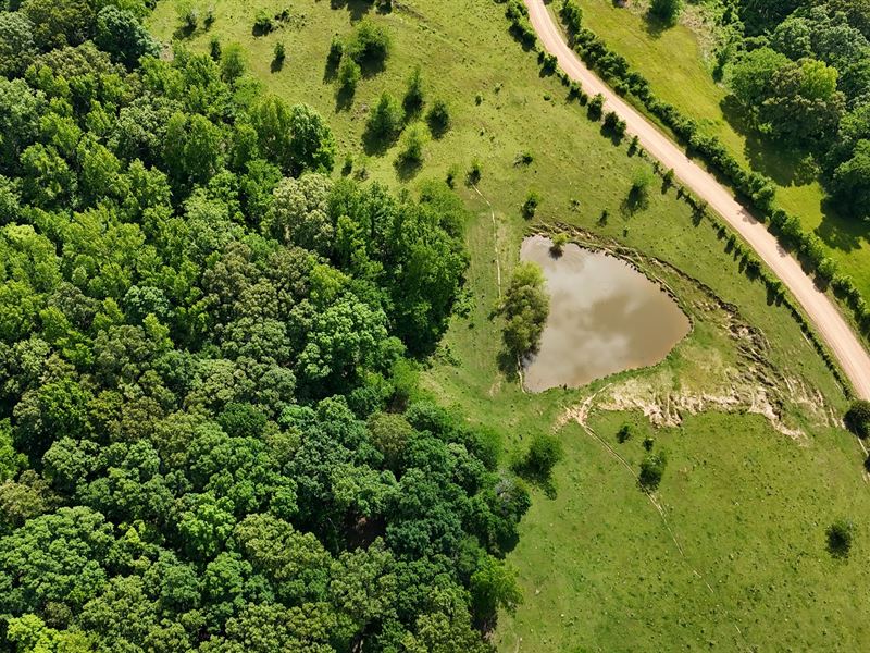 45 Acres in Panola County, MS : Crenshaw : Panola County : Mississippi