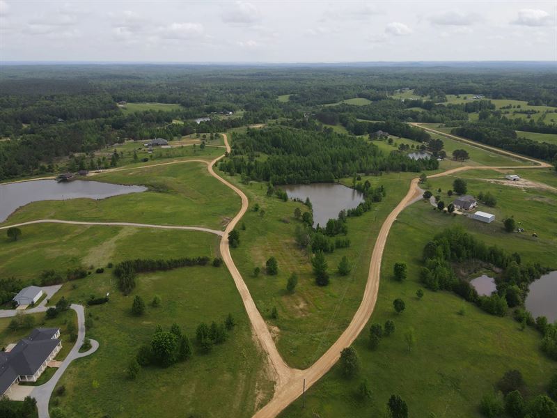 20.2 Acres in Grenada County, MS : Grenada : Grenada County : Mississippi