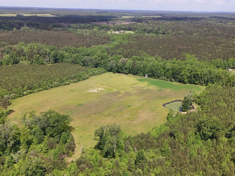 149 Acres in Choctaw County, MS : Ackerman : Choctaw County : Mississippi