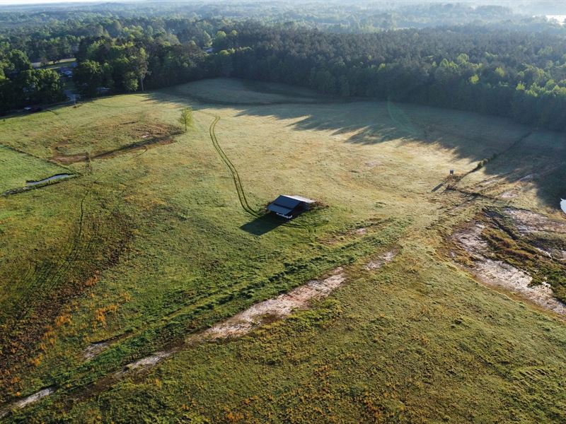 33.5 Acres Of Pasture Land in Clark : Quitman : Clarke County : Mississippi