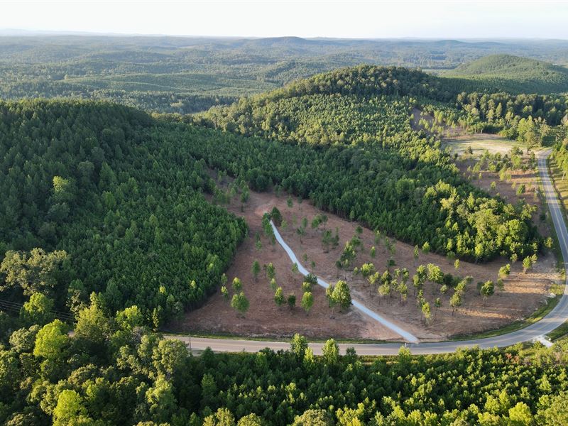 40 Acres Cragford, AL : Cragford : Clay County : Alabama