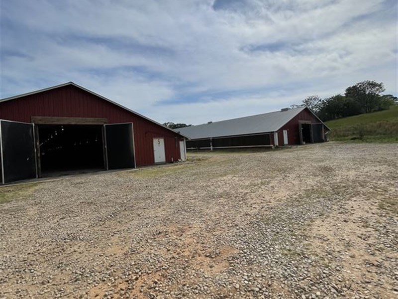 Six Broiler House Farm : Bowman : Madison County : Georgia