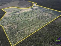 Timber / Recreational in Dodge Co : Eastman : Dodge County : Georgia