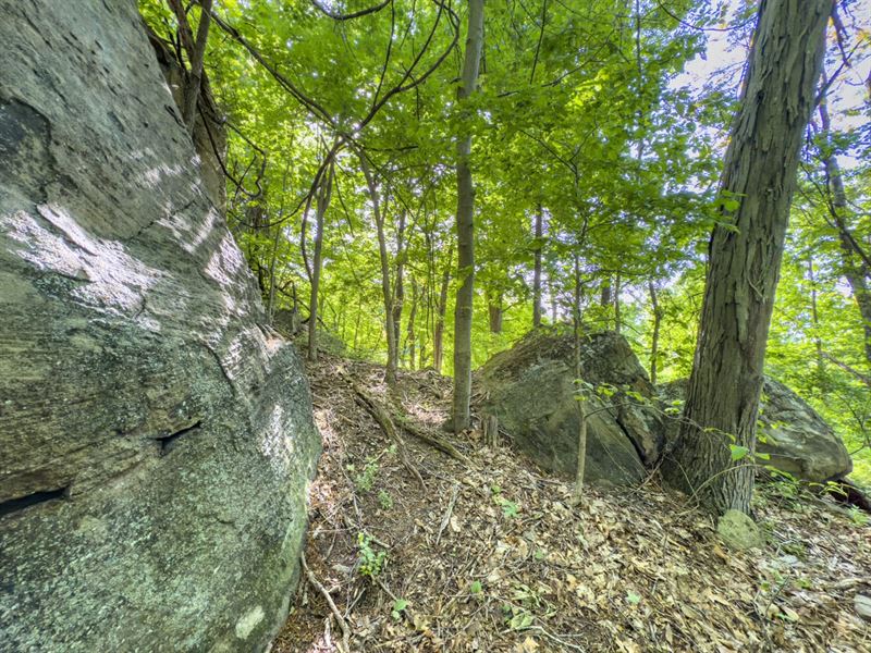 TR 158, 23 Acres, Lawrence County : Chesapeake : Lawrence County : Ohio