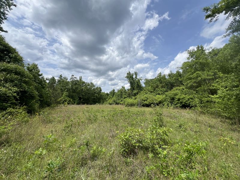 Huge Opportunity in Russell Co. AL : Phenix City : Russell County : Alabama