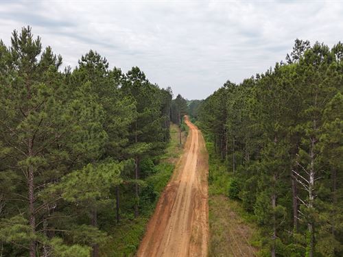 Dooly Pines : Vienna : Dooly County : Georgia