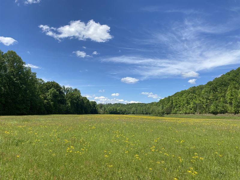 30+/-Ac in TN with Creek : Linden : Perry County : Tennessee