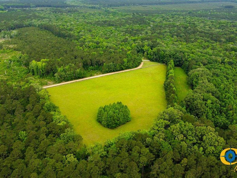 Hayne Hall : Jacksonboro : Colleton County : South Carolina