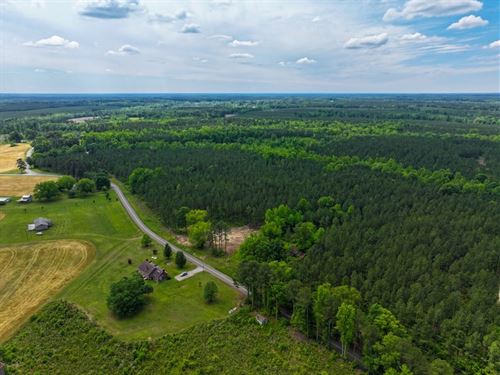 207.94 Acres : Lawrenceville : Brunswick County : Virginia