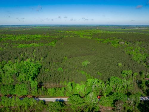 Greens Cut Tract : Waynesboro : Burke County : Georgia