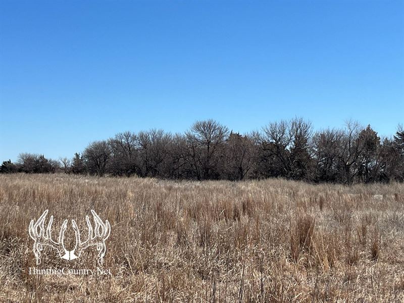 160 Acres M/L Meade County, Kansas : Fowler : Meade County : Kansas