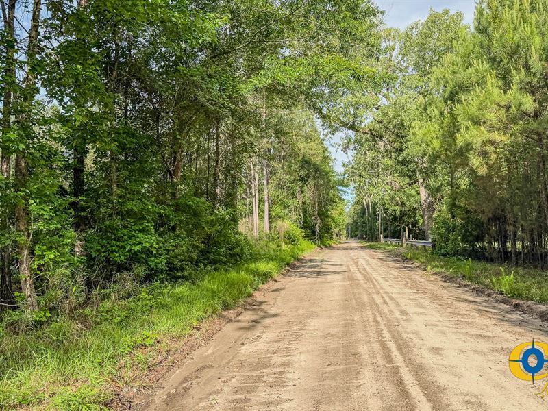 Blue Sparks : Jacksonboro : Colleton County : South Carolina