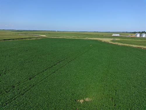 62.82 Acres-Brown County Farm & Crp : Houghton : Brown County : South Dakota